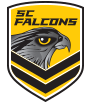 FALCONS