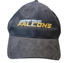 Falcons Embroided Cap