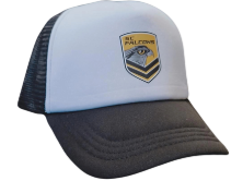 Falcons Trucker Cap